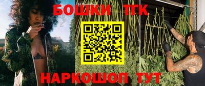 ГАЛЛЮЦИНОГЕННЫЕ ГРИБЫ Пугачёв