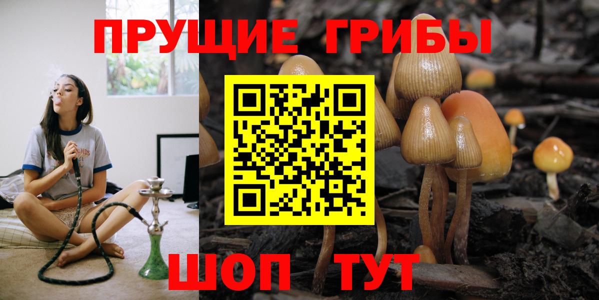 Галлюциногенные грибы Magic Shrooms  Вход с VPN  Стрежевой 
