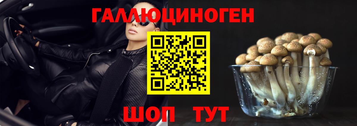 Псилоцибиновые грибы Psilocybe Стрежевой